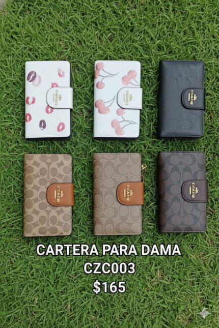 CARTERA PARA DAMA